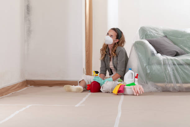 Reliable Black Mold Remediation contractor in Lakewood, IL by Mold Remediation HQ